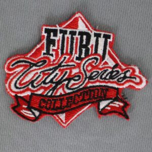 embroidery 7